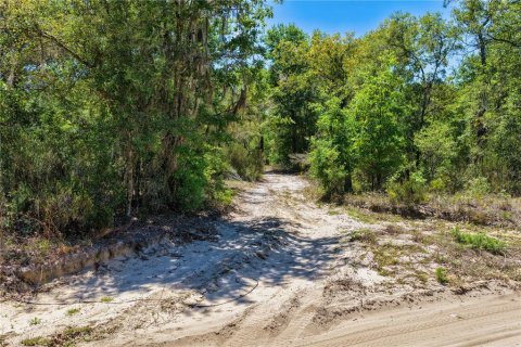 Land in Bronson, Florida № 2226880 - photo 10