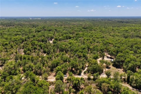 Land in Bronson, Florida № 2226880 - photo 13