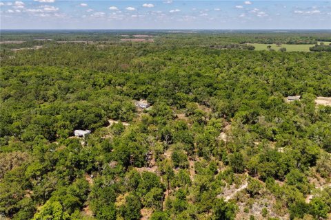 Land in Bronson, Florida № 2226880 - photo 17