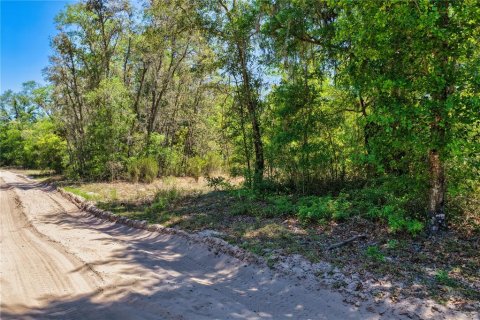 Land in Bronson, Florida № 2226880 - photo 9