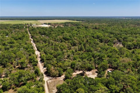 Land in Bronson, Florida № 2226880 - photo 15