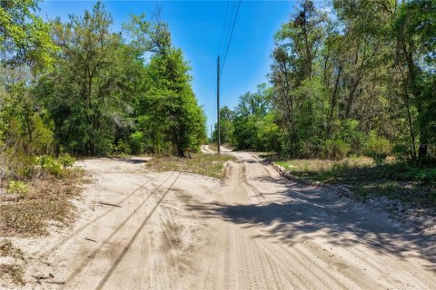 Land in Bronson, Florida № 2226880 - photo 8