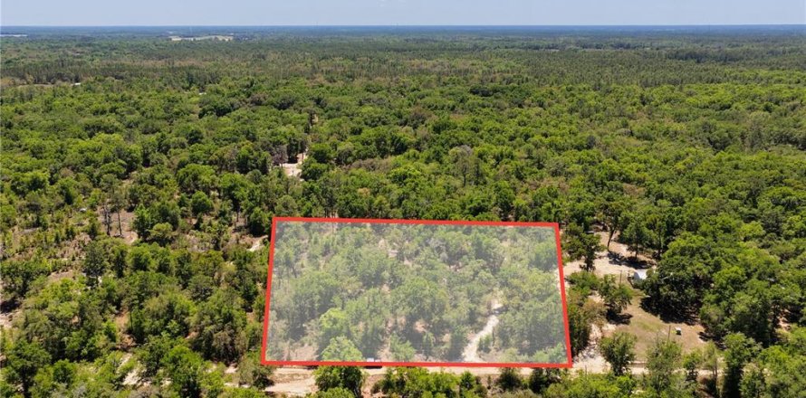 Land in Bronson, Florida № 2226880