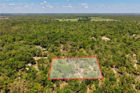 Land in Bronson, Florida № 2226880 - photo 3