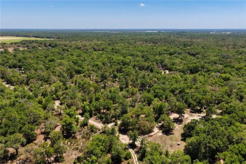 Land in Bronson, Florida № 2226880 - photo 14