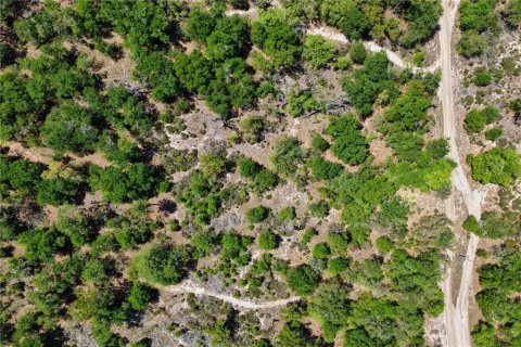 Land in Bronson, Florida № 2226880 - photo 5