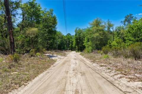 Land in Bronson, Florida № 2226880 - photo 7