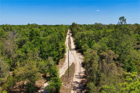 Land in Bronson, Florida № 2226880 - photo 6