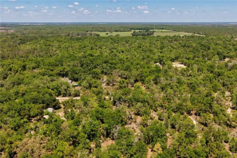 Land in Bronson, Florida № 2226880 - photo 18
