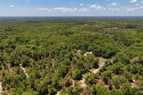 Land in Bronson, Florida № 2226880 - photo 12