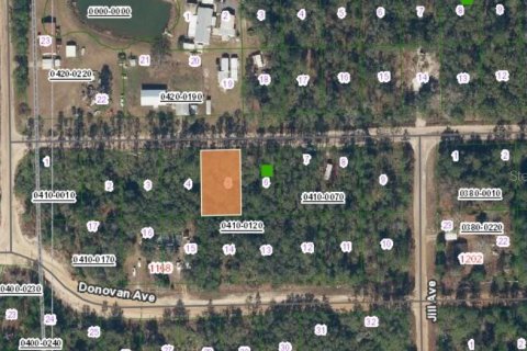 Land in Interlachen, Florida № 2396361 - photo 3