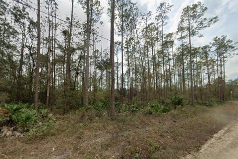 Land in Interlachen, Florida № 2396361