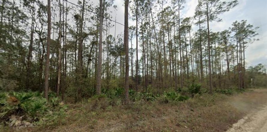 Land in Interlachen, Florida № 2396361