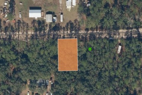Land in Interlachen, Florida № 2396361 - photo 4