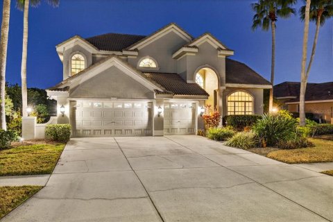 Villa ou maison à Tampa, Floride 5 chambres, 356.93 m2 № 2342431
