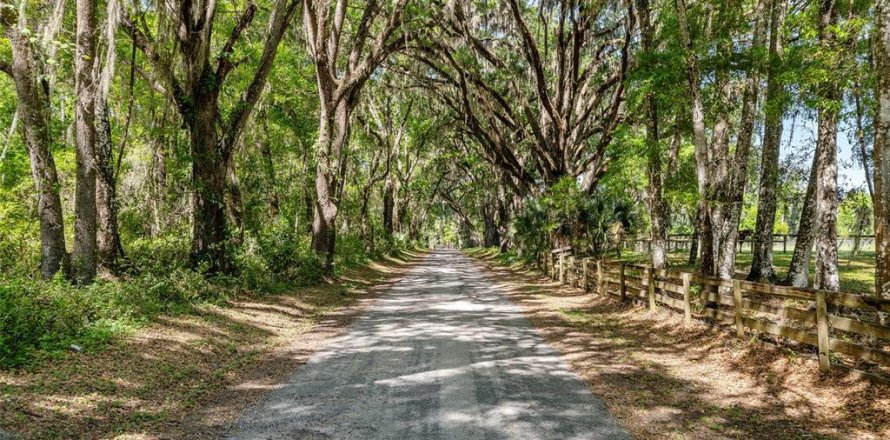 Land in Reddick, Florida № 2127813