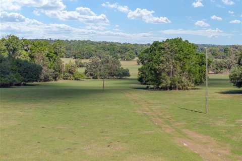 Land in Reddick, Florida № 2127813 - photo 6