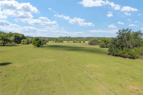 Land in Reddick, Florida № 2127813 - photo 8