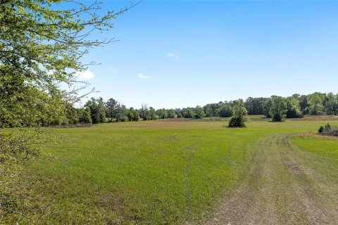 Land in Reddick, Florida № 2127813 - photo 11