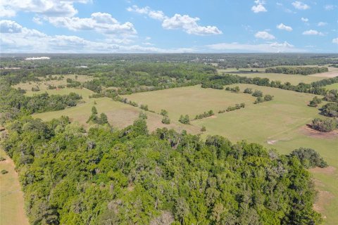 Land in Reddick, Florida № 2127813 - photo 10