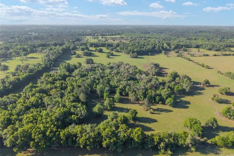 Land in Reddick, Florida № 2127813 - photo 16