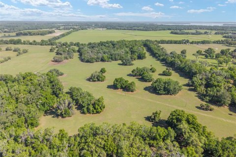Land in Reddick, Florida № 2127813 - photo 9