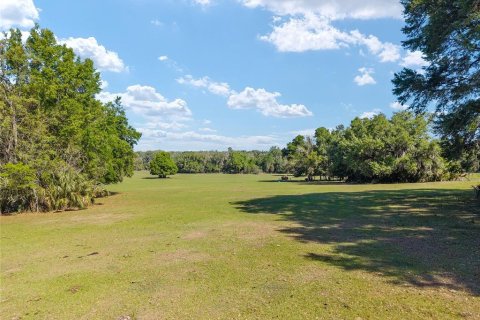 Land in Reddick, Florida № 2127813 - photo 1