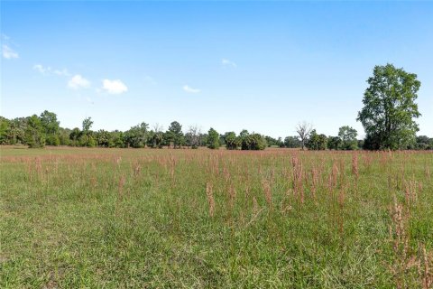 Land in Reddick, Florida № 2127813 - photo 12