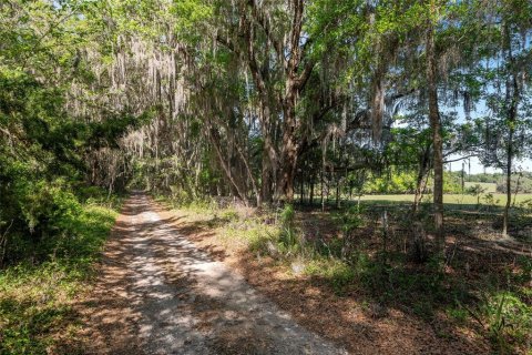 Land in Reddick, Florida № 2127813 - photo 14