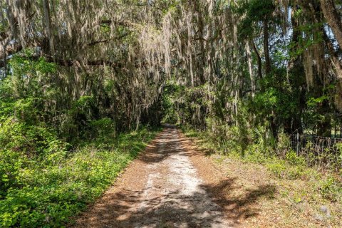 Land in Reddick, Florida № 2127813 - photo 15