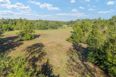 Land in Reddick, Florida № 2127813 - photo 18
