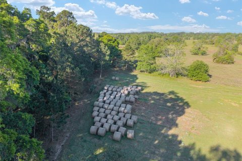 Land in Reddick, Florida № 2127813 - photo 17