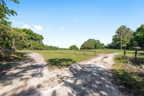 Land in Reddick, Florida № 2127813 - photo 5