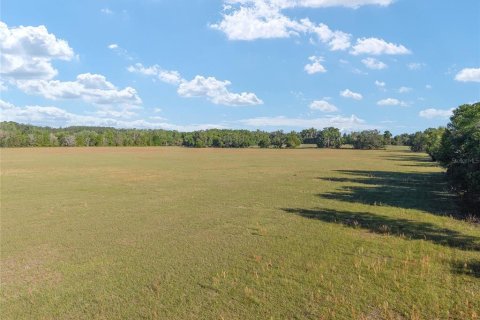 Land in Reddick, Florida № 2127813 - photo 19