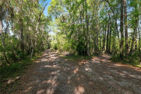 Land in Reddick, Florida № 2127813 - photo 13