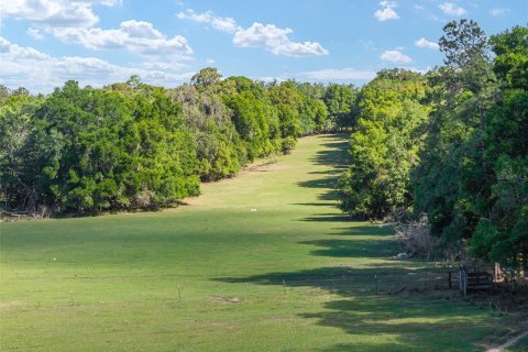 Land in Reddick, Florida № 2127813 - photo 7