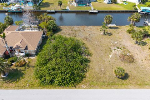 Land in Port Charlotte, Florida № 2298724