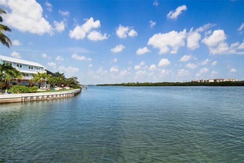 Condominio en alquiler en Sarasota, Florida, 3 dormitorios, 170.48 m2 № 914807 - foto 5