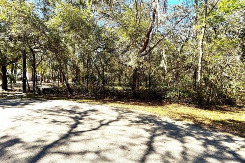 Terrain à vendre à DeLand, Floride № 2235169 - photo 6