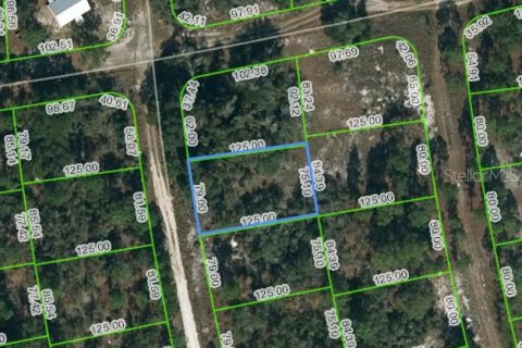 Land in Lake Placid, Florida № 2207825