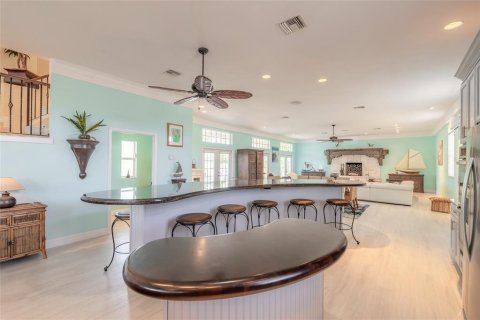 Villa ou maison à vendre à New Smyrna Beach, Floride: 5 chambres, 432.18 m2 № 1786042 - photo 22