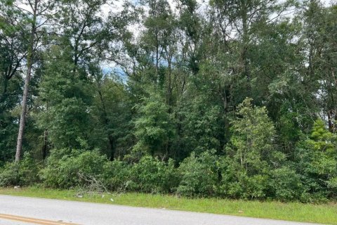 Land in Ocklawaha, Florida № 2368755