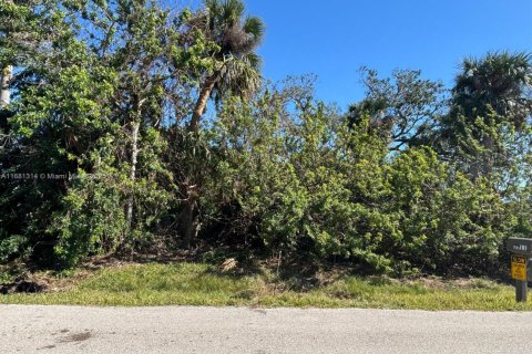 Terrain à vendre à Punta Gorda, Floride № 2158612 - photo 4