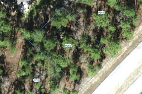 Land in Citrus Springs, Florida № 2388275