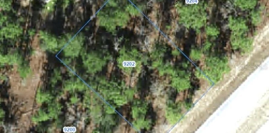 Land in Citrus Springs, Florida № 2388275