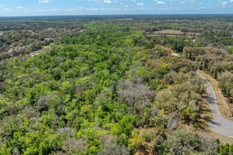 Land in Port Orange, Florida № 2233131 - photo 17