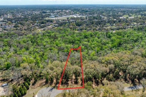 Land in Port Orange, Florida № 2233131 - photo 11