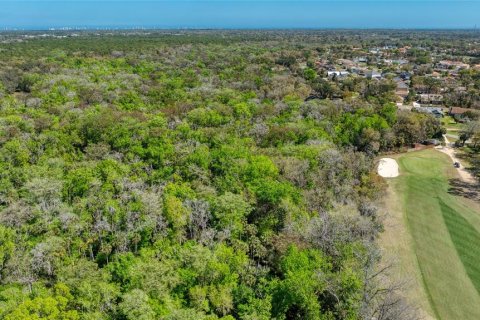 Land in Port Orange, Florida № 2233131 - photo 14