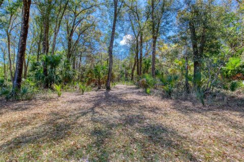 Land in Port Orange, Florida № 2233131 - photo 6