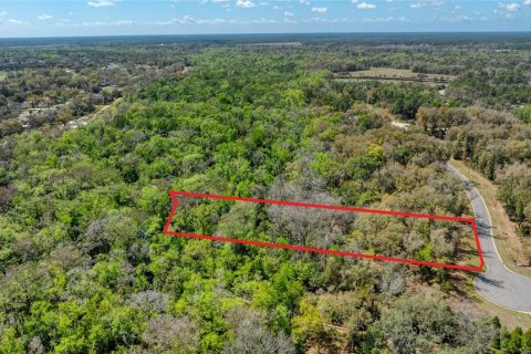 Land in Port Orange, Florida № 2233131 - photo 16
